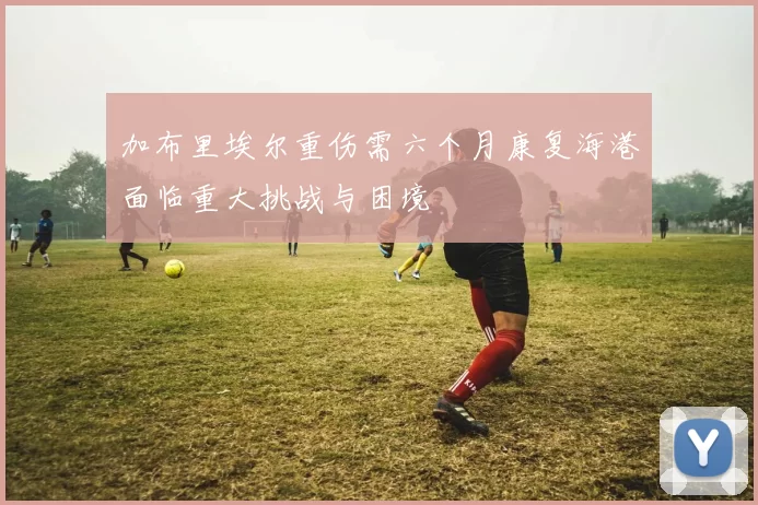 加布里埃尔重伤需六个月康复海港面临重大挑战与困境