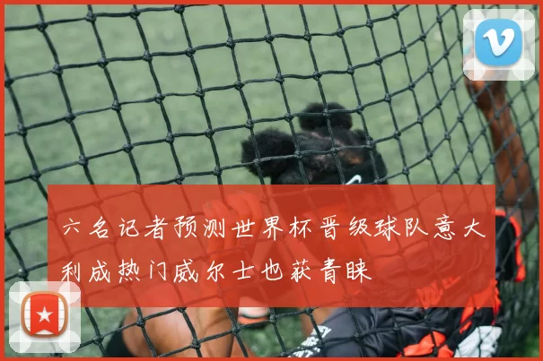 六名记者预测世界杯晋级球队意大利成热门威尔士也获青睐